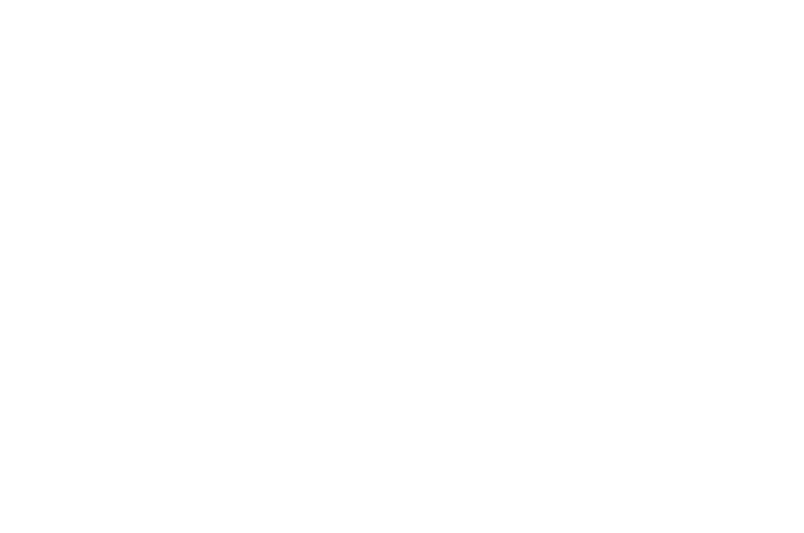 SEIE